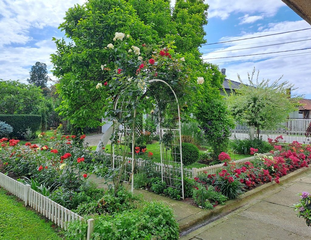 Продужава се рок пријаве за акцију „Пролеће на Чукарици 2025“